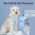 Reflective Dog Harness Vest with Leash - Blue, Small (Neck 38-46 cm)