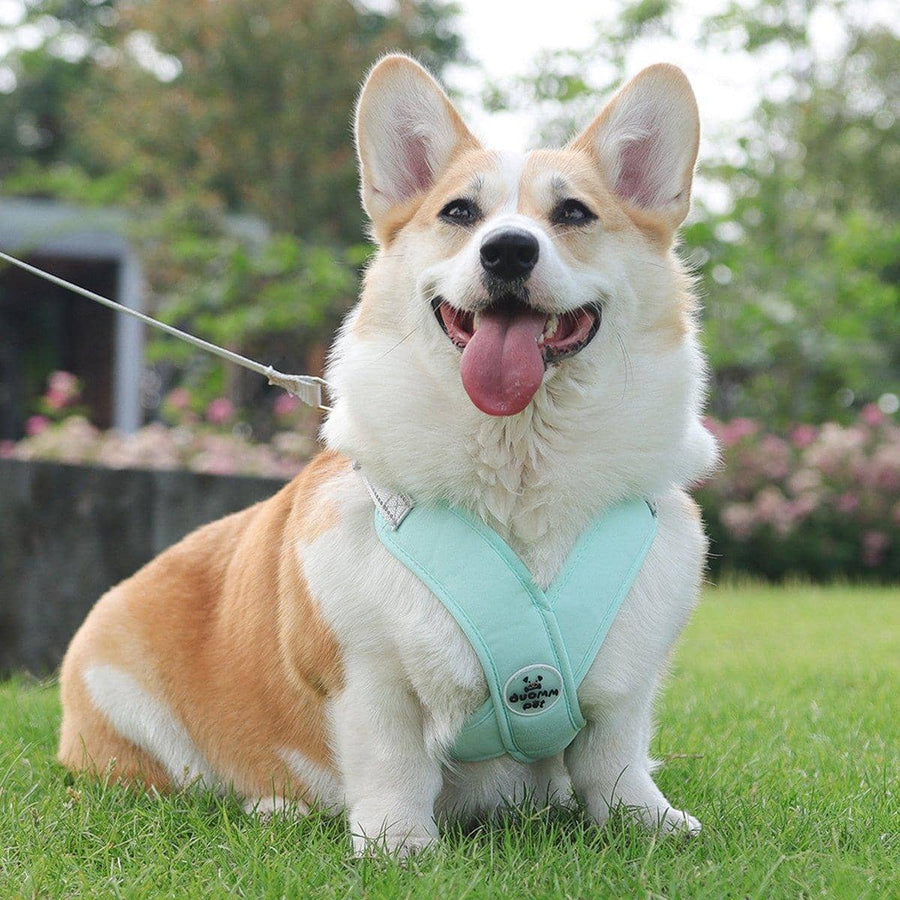 Reflective Dog Harness Vest with Leash - Green, Large (Neck 48-60 cm)