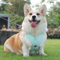 Reflective Dog Harness Vest with Leash - Green, Small (Neck 38-46 cm)