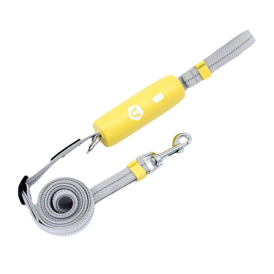 Reflective Nylon Dog Leash, Adjustable 0.95 to 1.6 m - Yellow and Grey