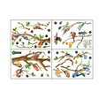 Removable Birds on Tree Branch Wall Stickers, 25 x 35 cm Sheets - Pack of 4 - view 2