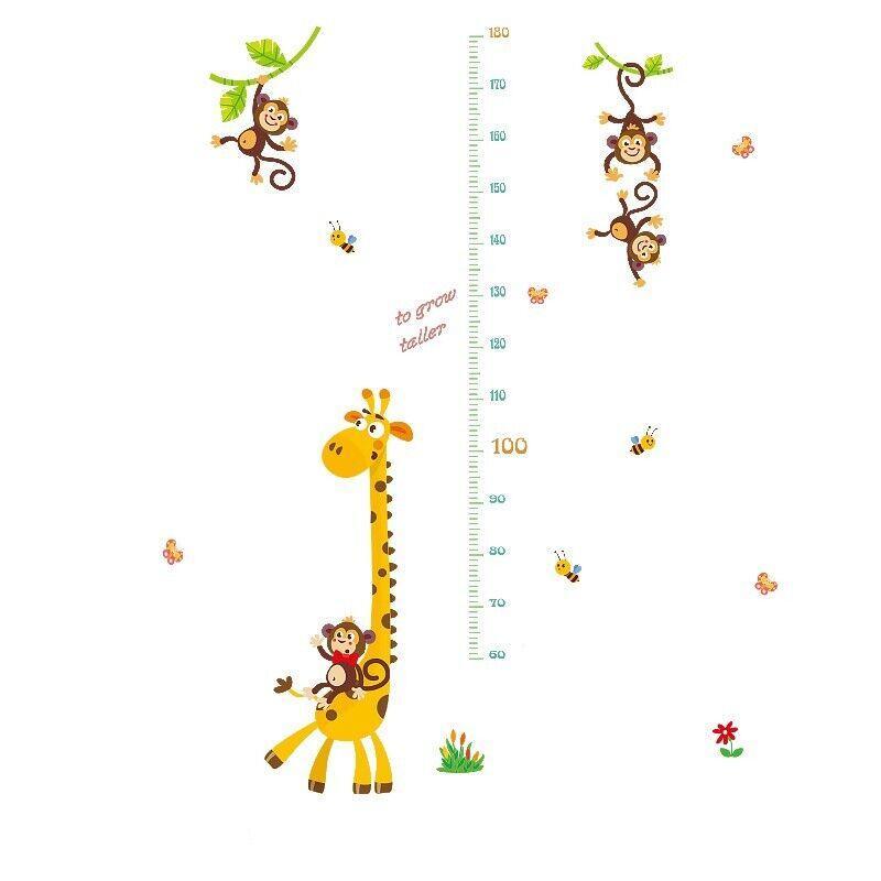 Removable Wall Height Chart Sticker Growth Ruler Decal - Model A - view 23