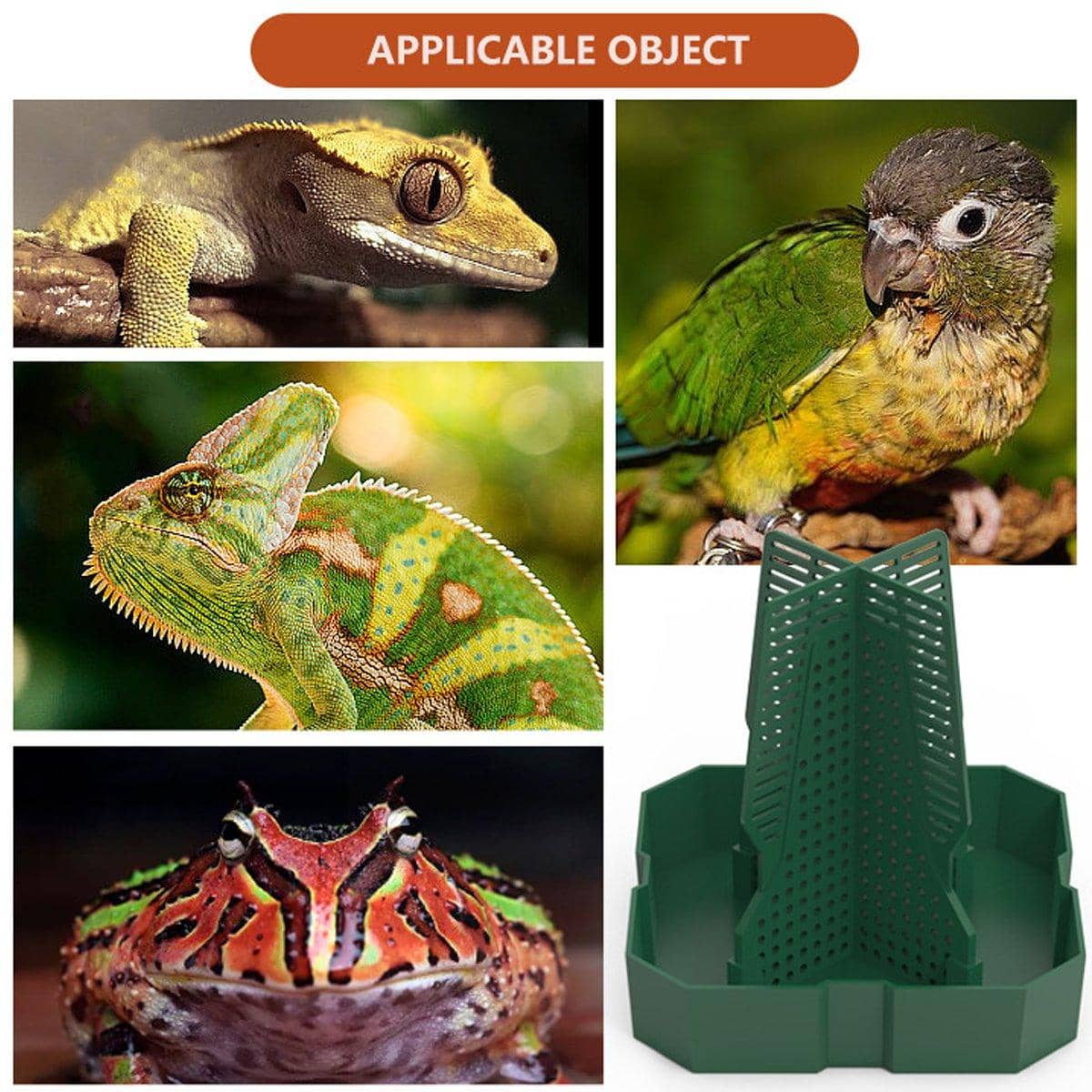 Reptile Anti-Escape Feeding Basin - Brown, Small (11.2 x 11.2 x 11.9 cm) - view 5