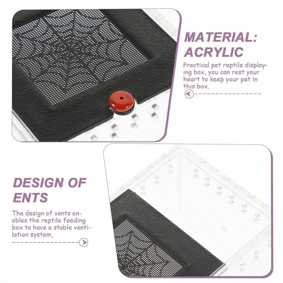 Reptile Climbing Pet Enclosure, Spider and Lizard Breeding Terrarium Box - Black - view 5