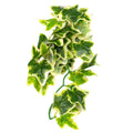 Reptile Climbing Vine Simulation Plant, Wall Mounted for Terrariums - view 2