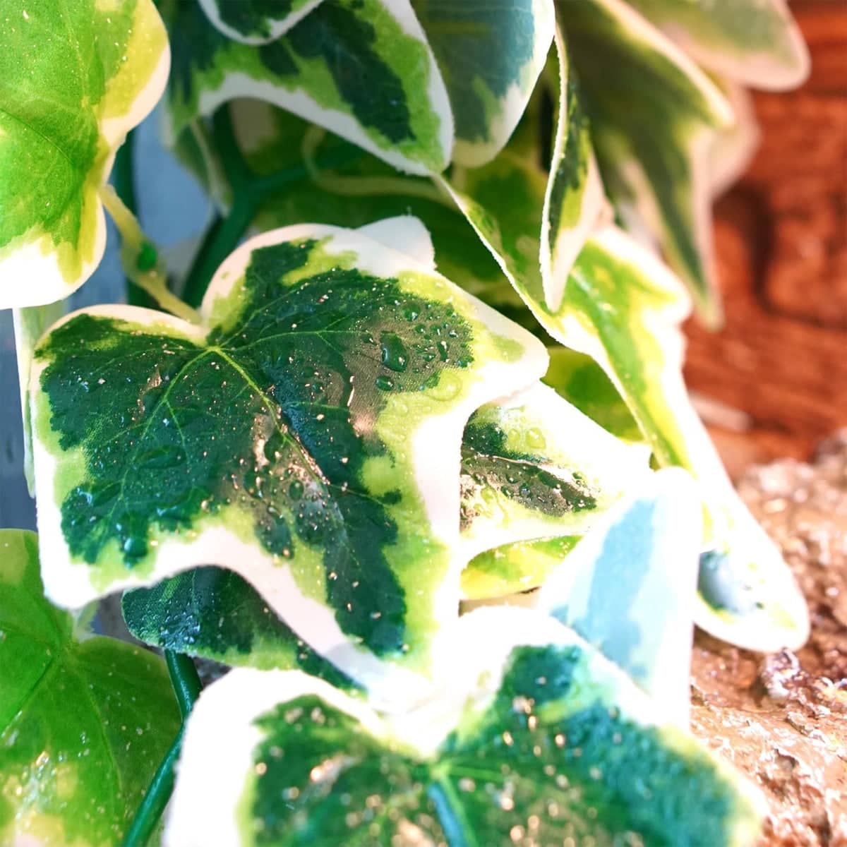 Reptile Climbing Vine Simulation Plant, Wall Mounted for Terrariums - view 5