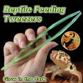 Reptile Feeding Tongs, Luminous 18 cm Straight Tip