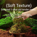Reptile Hibernation Kit with Feeding Box, Coconut Brick and Moss - view 5