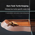 Reptile Water Feeding Dish with Double Climbing Ramps for Terrarium, Brown - view 4