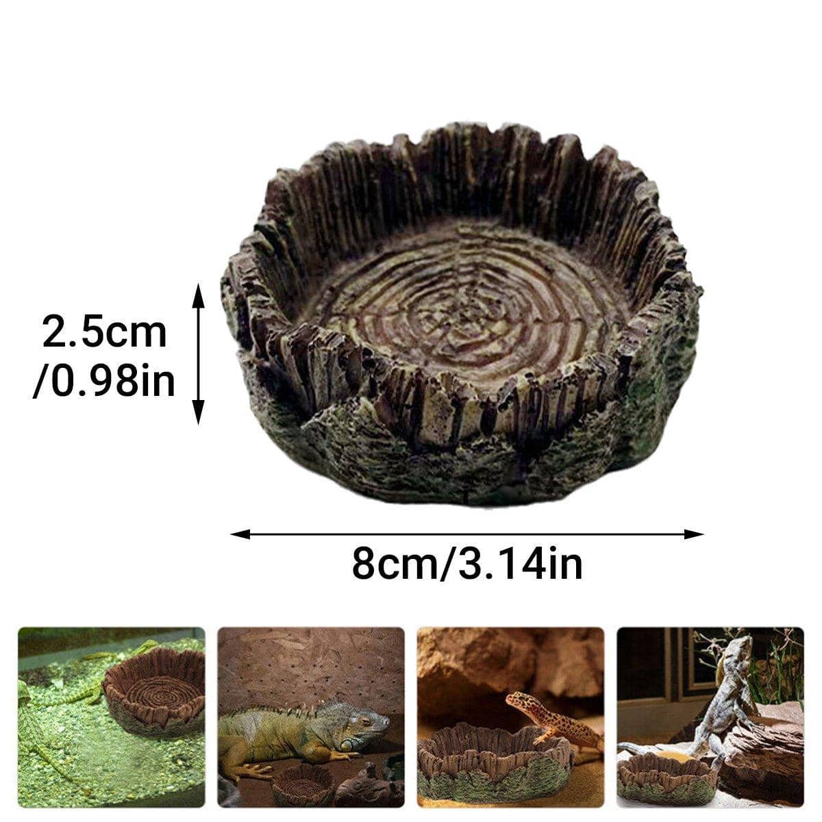 Resin Reptile Feeding Dish with Wood Grain Finish, 8 x 8 x 2.5 cm - view 3