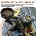 Resin Reptile Feeding Dish with Wood Grain Finish, 8 x 8 x 2.5 cm - view 5