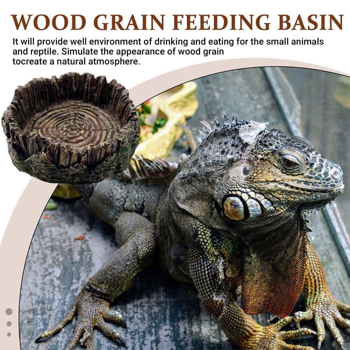 Resin Reptile Feeding Dish with Wood Grain Finish, 8 x 8 x 2.5 cm - view 5