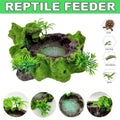 Resin Reptile Water and Feeding Basin - Mossy Rock Terrarium Dish