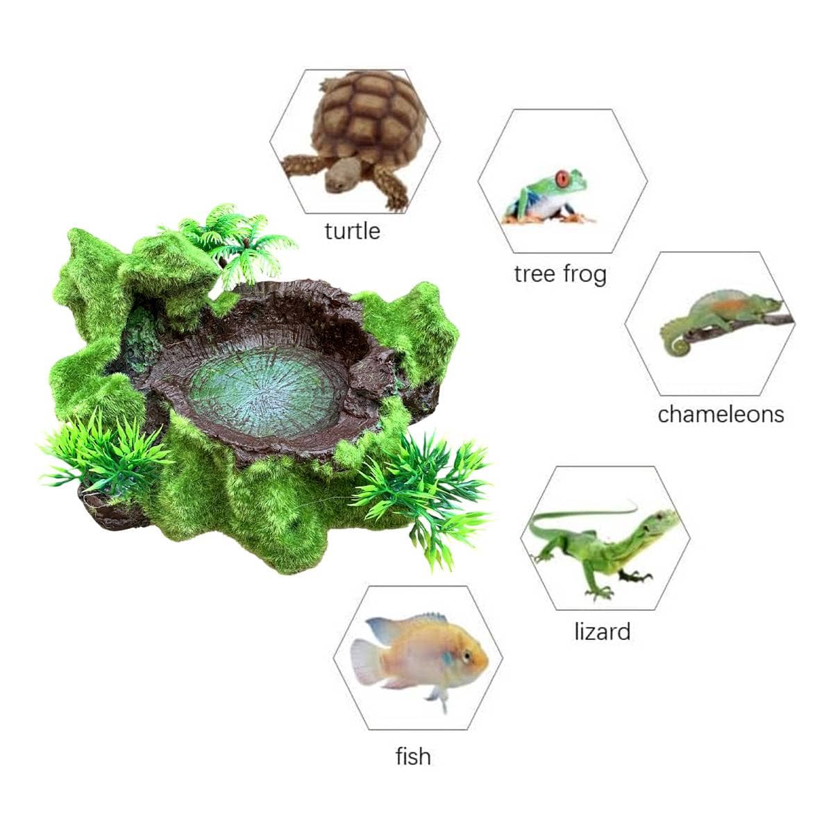 Resin Reptile Water and Feeding Basin - Mossy Rock Terrarium Dish - view 5