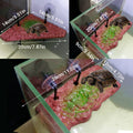 Resin Rock Turtle Basking Platform with Suction Cups - Large Rectangle, 28 x 12 cm - view 4