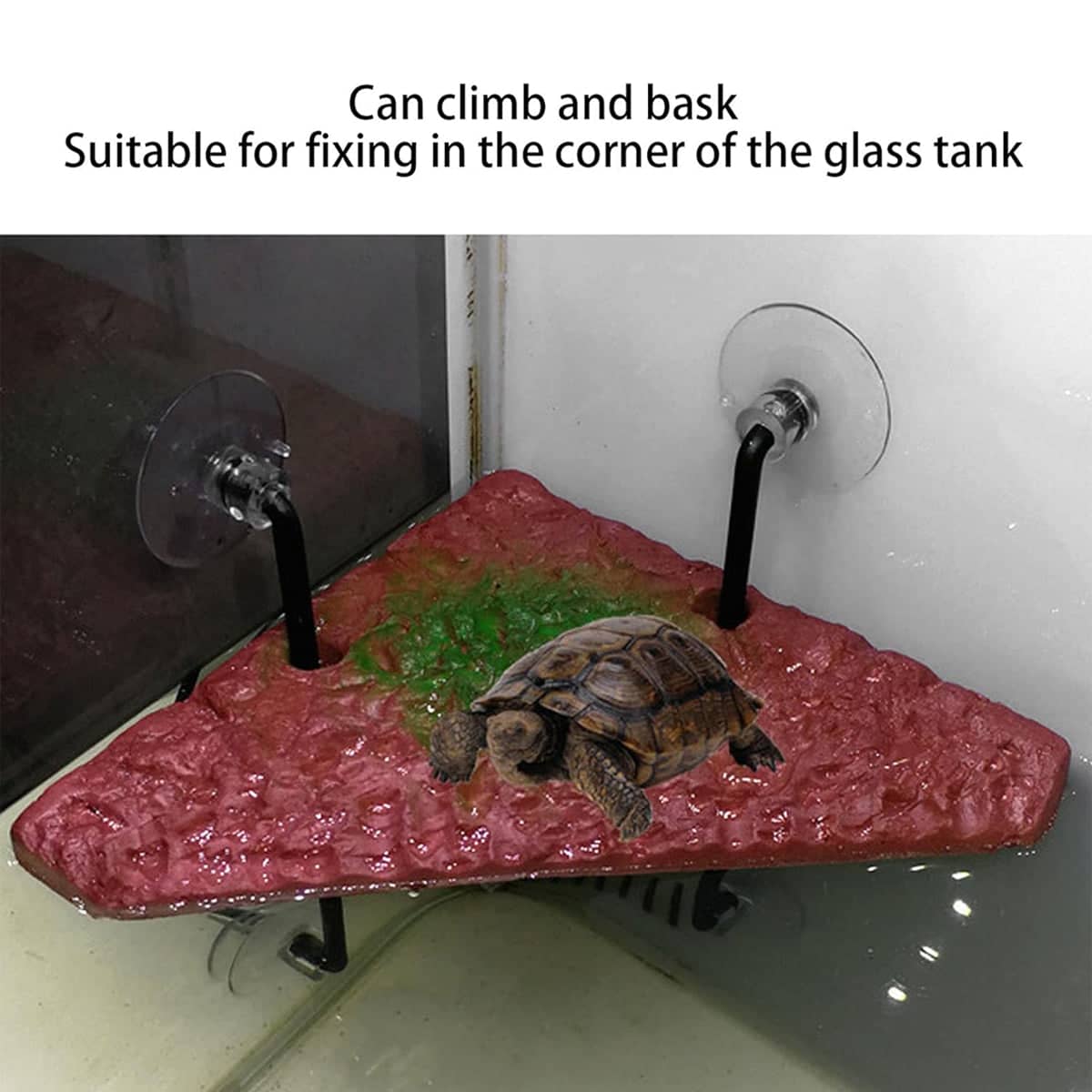 Resin Rock Turtle Basking Platform with Suction Cups - Medium Rectangle, 20 x 9 cm - view 5
