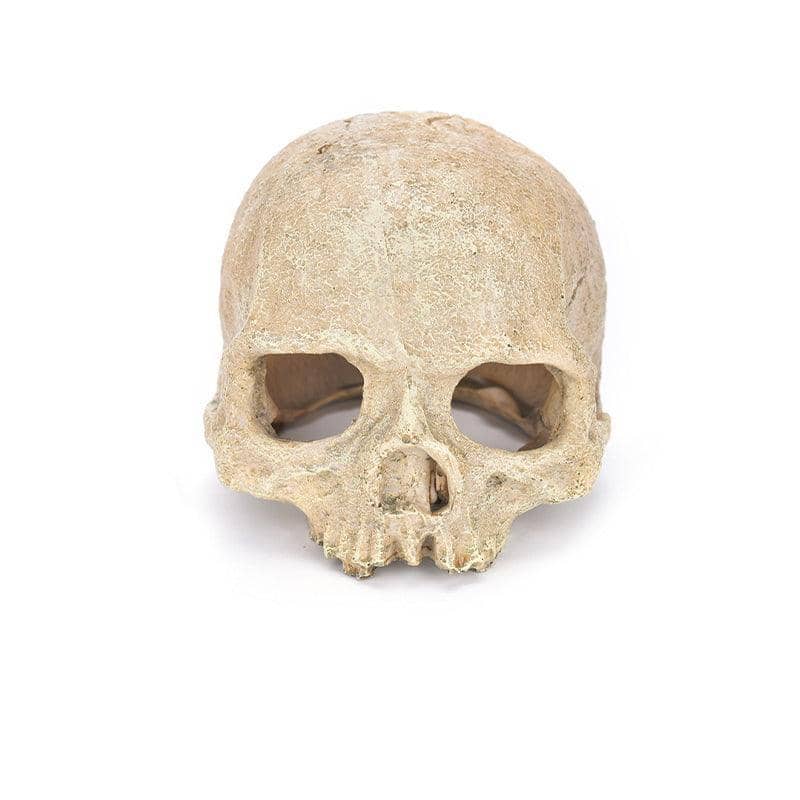 Resin Skull Aquarium Ornament - Bald Bare Skull