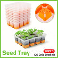 Reusable Silicone Seed Trays with 12 Cells, Pack of 10