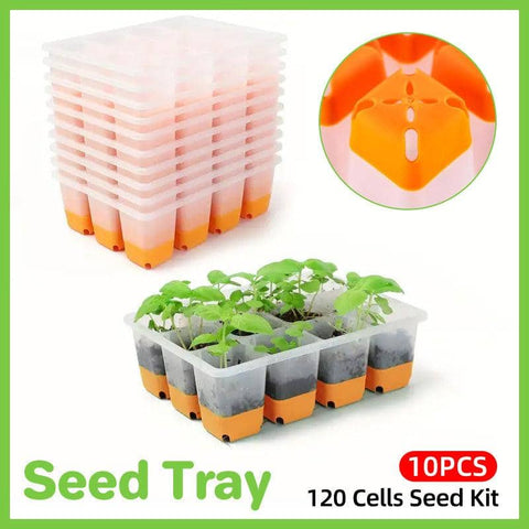Reusable Silicone Seed Trays with 12 Cells, Pack of 10