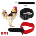 Rooster Anti-Crow Collars, Adjustable Nylon, Pack of 10 - Black - view 2