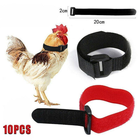 Rooster Anti-Crow Collars, Adjustable Nylon, Pack of 10 - Black - view 2