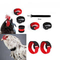 Rooster Anti-Crow Collars, Adjustable Nylon, Pack of 10 - Black - view 5