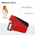 Rooster Anti-Crow Collars, Adjustable Nylon, Pack of 10 - Red - view 4