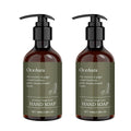 Rosemary Ginger Foaming Liquid Hand Soap, 100ml Pack of 2 - view 2