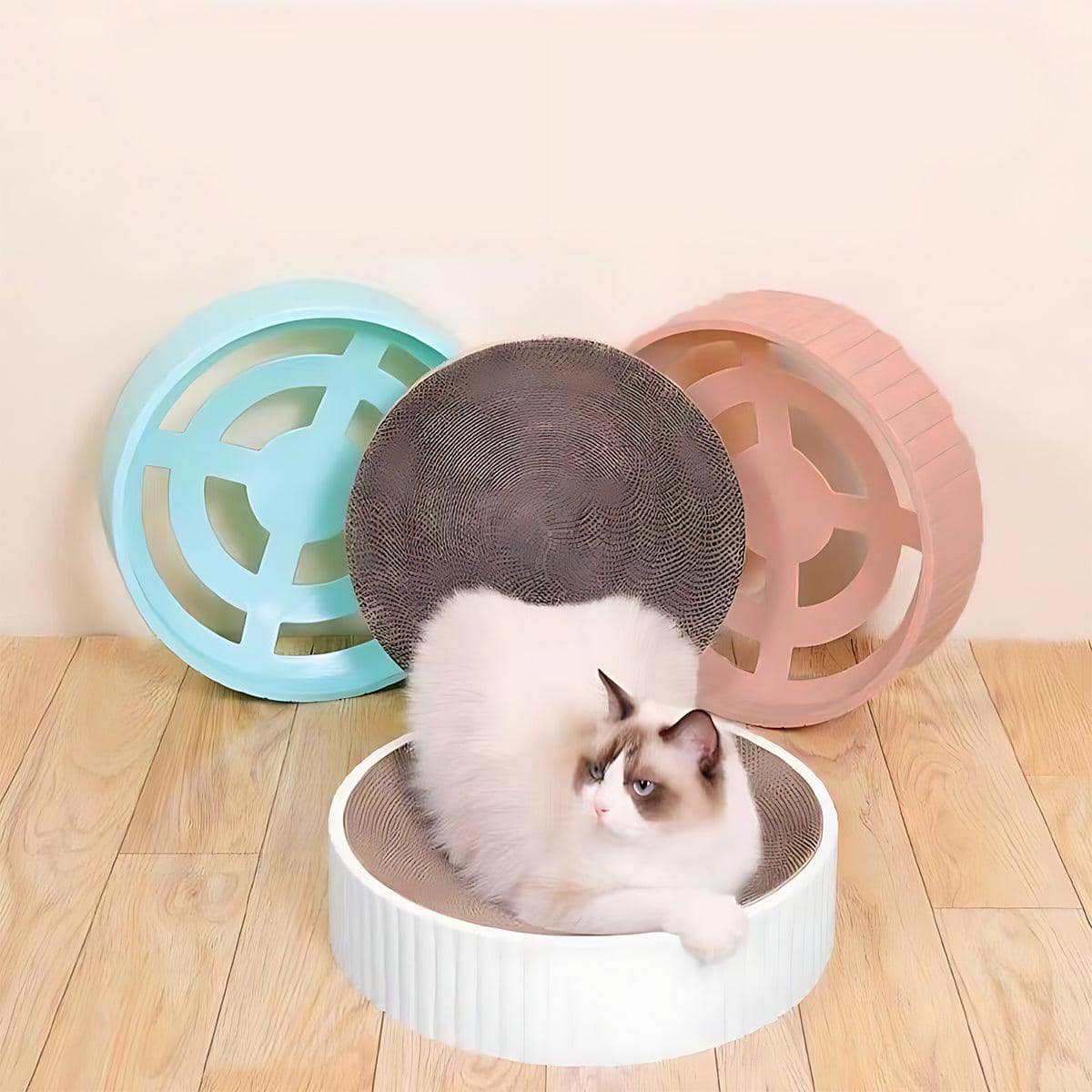 Round Cat Scratching Board and Lounge Bed - Light Blue - view 5