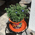 Round Plastic Flower Pot Drip Trays, Pack of 6 - view 5