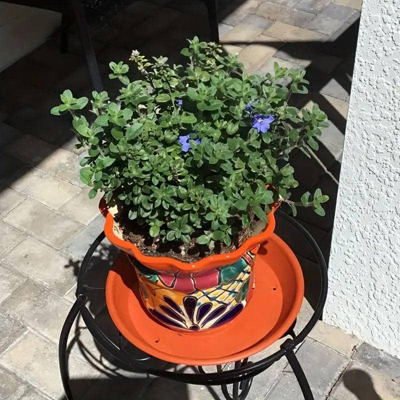 Round Plastic Flower Pot Drip Trays, Pack of 6 - view 5