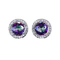 Round Zircon Halo Stud Earrings - Multicolour