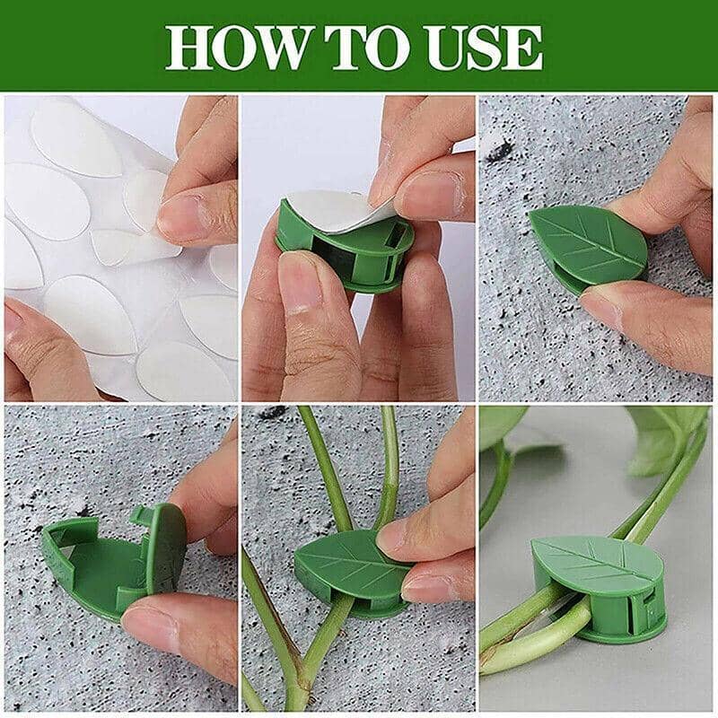 Self-Adhesive Wall Plant Clips for Climbing Vines - Green, Pack of 20 - view 3