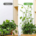 Self-Adhesive Wall Plant Clips for Climbing Vines - Green, Pack of 20 - view 4