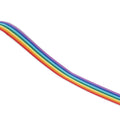 Sewing Webbing Tape Roll, 50 Yards (45.7 m) - Rainbow, 1.5 cm Wide