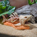 Shark Skeleton Aquarium Ornament in Beige Resin, 17 x 8 x 8 cm - view 5