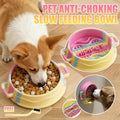 Silicone Anti-Choking Slow Feeder Bowl for Small and Medium Dogs and Cats