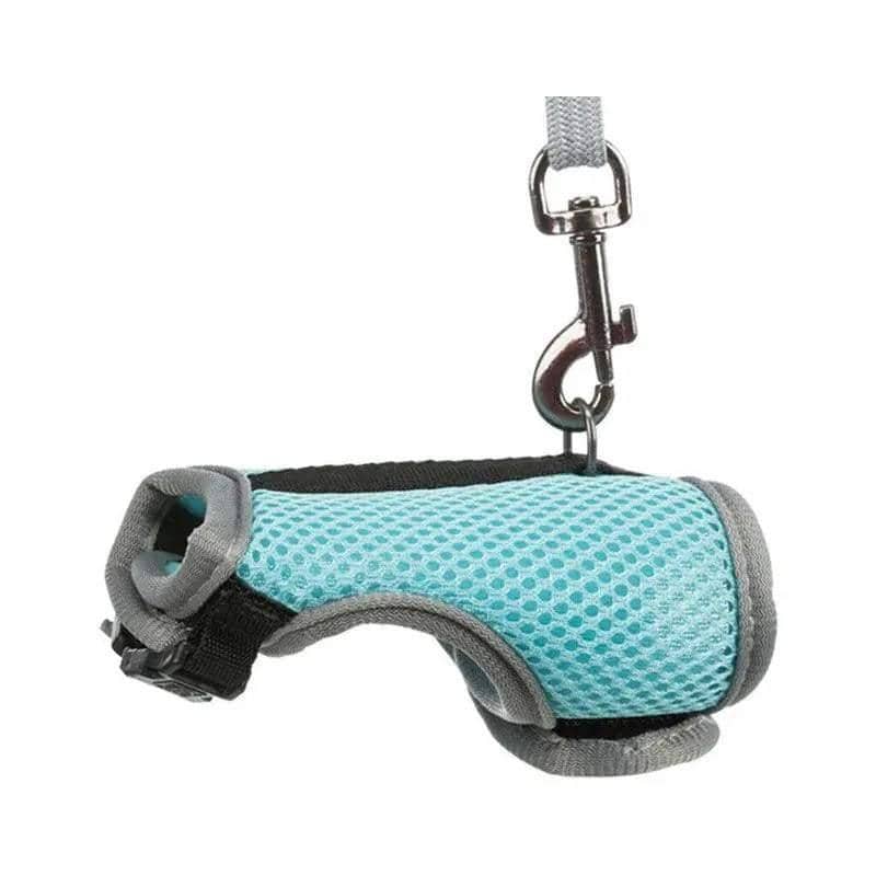 Small Animal Harness and Lead for Ferrets, Guinea Pigs and Rabbits - Aqua Blue, Size L (Neck 16-20 cm)