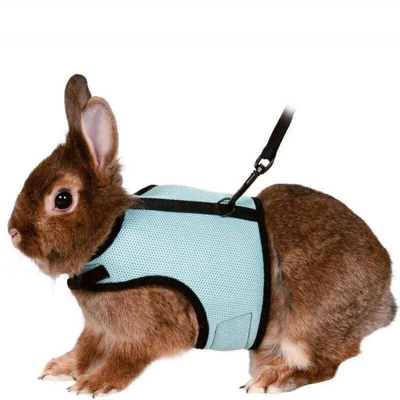 Small Animal Harness and Lead for Ferrets, Guinea Pigs and Rabbits - Pink, XL (Chest 25-40 cm) - view 4