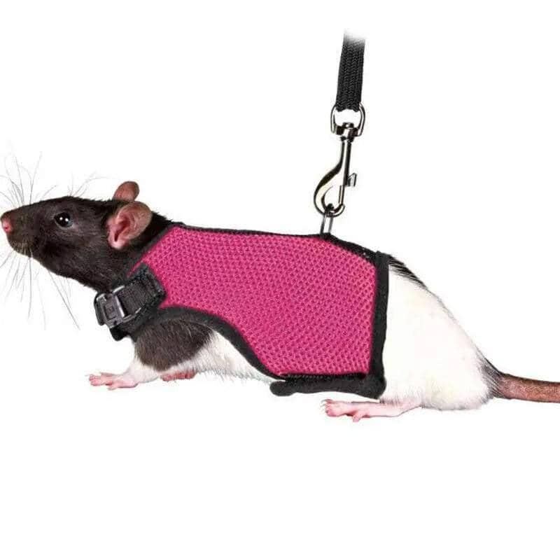Small Animal Harness with Lead - Rose Red, Medium (Chest 18-25 cm) - view 4