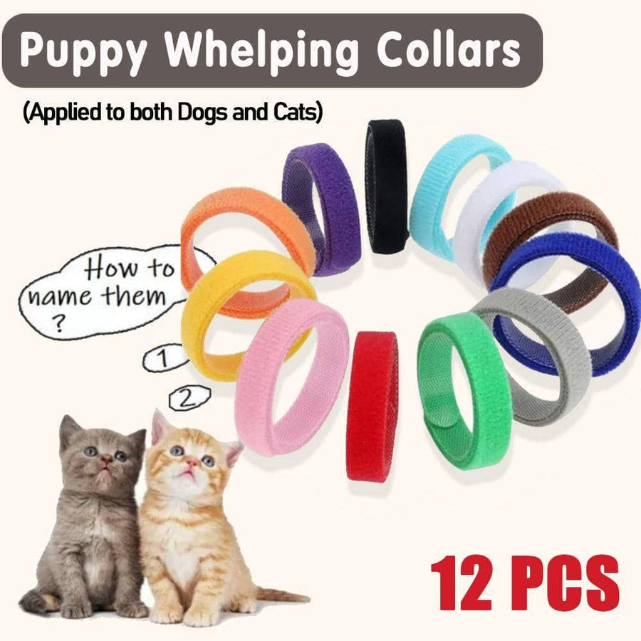 Soft Fleece Puppy and Kitten ID Collars - Pack of 12, Assorted Colours