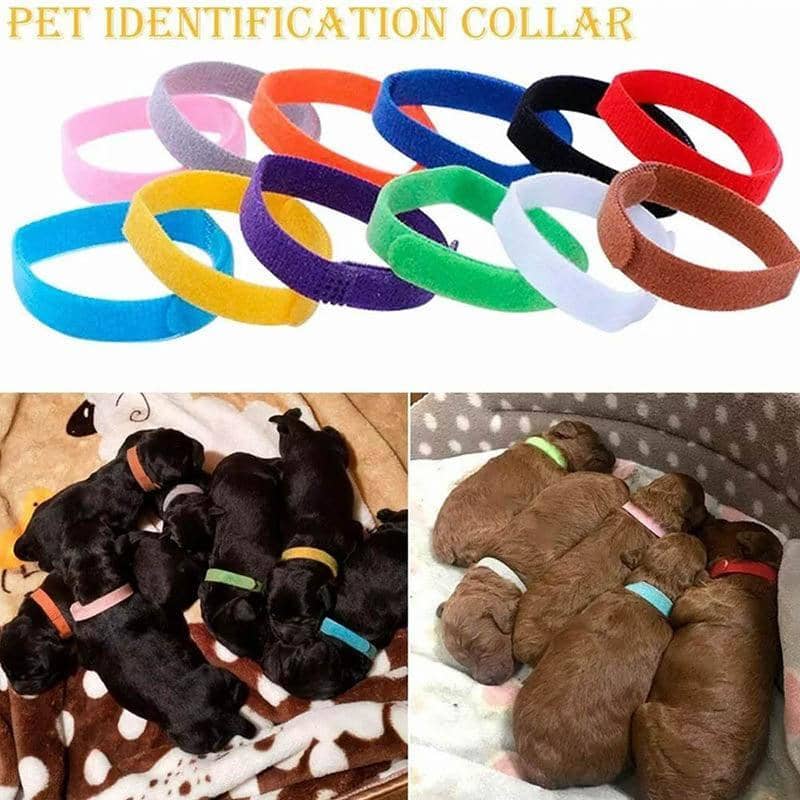 Soft Fleece Puppy and Kitten ID Collars - Pack of 12, Assorted Colours - view 4