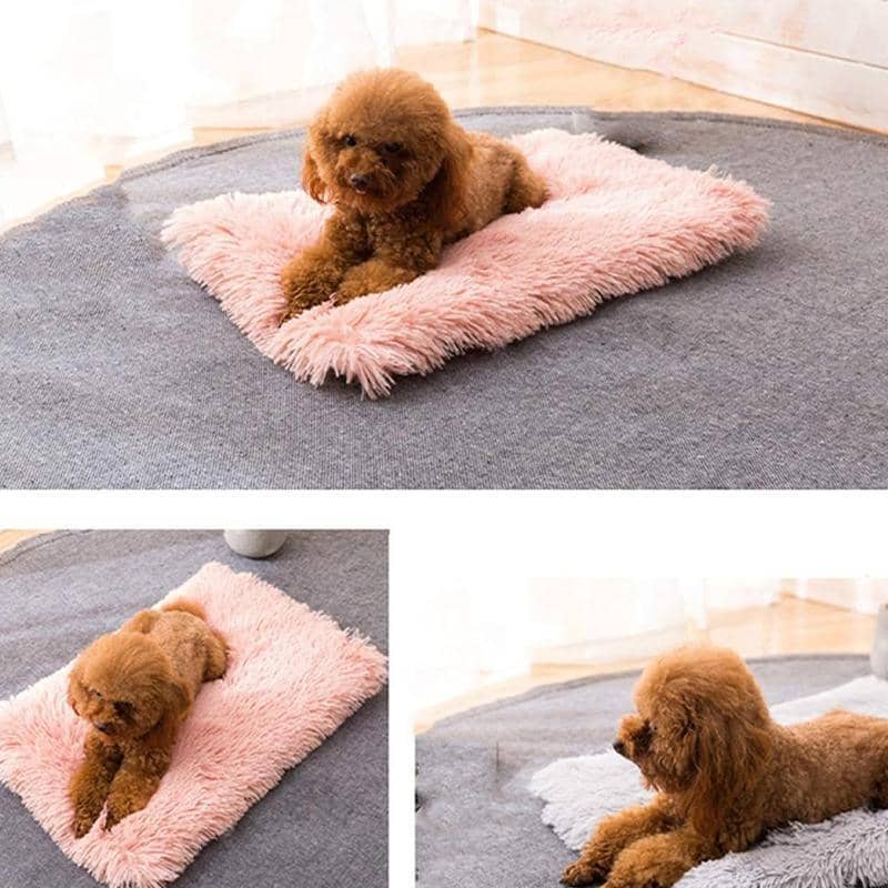 Soft Plush Dog and Cat Blanket, 127 x 100 cm - Dark Grey - view 4