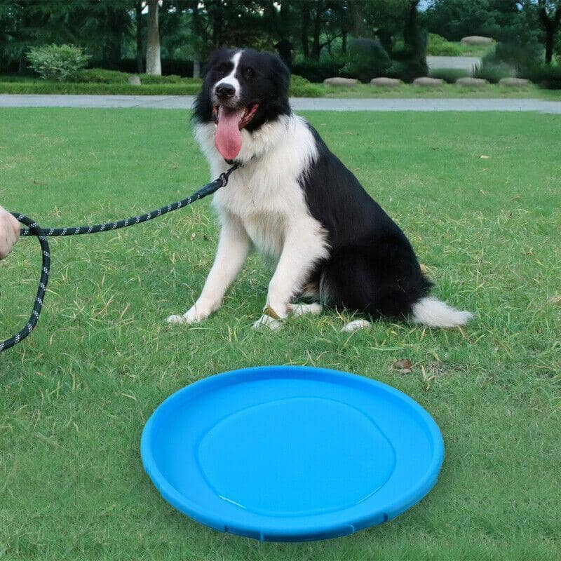 Soft Rubber Dog Frisbee Toy, 18 cm Flying Disc - Blue - view 5