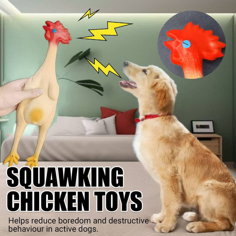 Squeaky Chicken Dog and Cat Chew Toy, Durable Interactive Play, Approx 41 cm