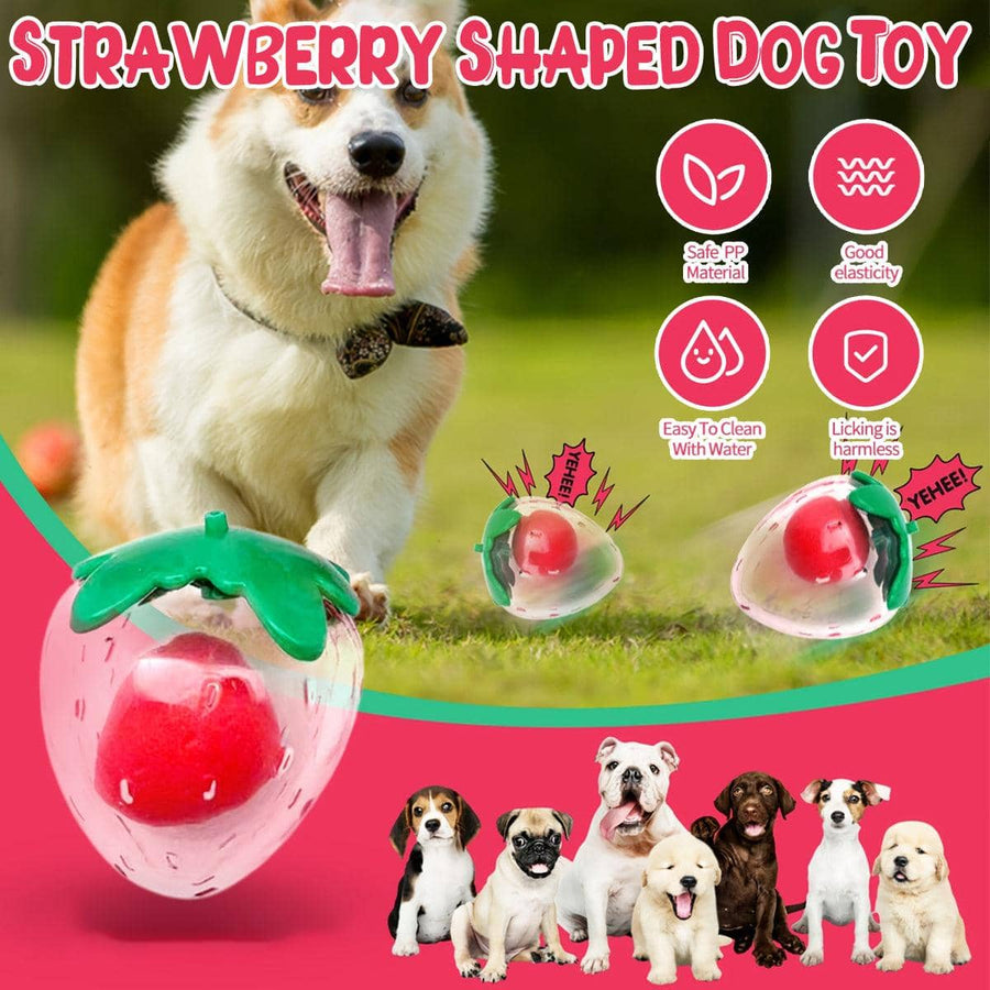 Squeaky Strawberry Shaped Dog Chew Ball Interactive Toy for Dogs of All Sizes