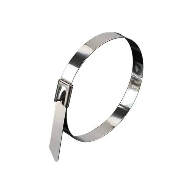 Stainless Steel Cable Ties 100 Pack, Marine Grade SS304 - 4.6 x 800mm
