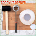Stainless Steel Coconut Opener Drill and Rubber Hammer Tool Set