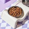 Stainless Steel Double Pet Bowl Set, Wavy Elevated Stand - White - view 5