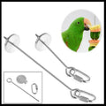 Stainless Steel Parrot and Bird Cage Treat Skewer - 20 cm - view 4